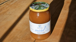 Miód gryczany – 1,2 kg
