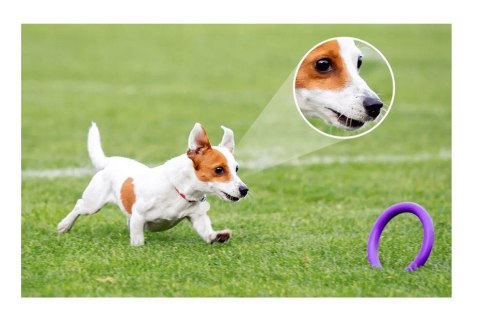 Kamera IP Imou kamera żarówka Bulb Cam 5MP IPC-S6DP