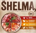 SHELMA saszetki - pełnoporcjowa bezzbożowa karma dla dorosłych kotów. Z kurczakiem, wołowiną, kaczką i indykiem 4x85g