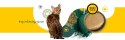 3Coty CHICKEN with Spirulina for Senior Cats 80g