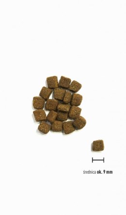 ORIJEN Small Breed Marine Fish małe rasy pies 1,8kg