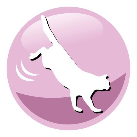 PREVITAL łosoś senior karma sucha dla kotów 1,4kg