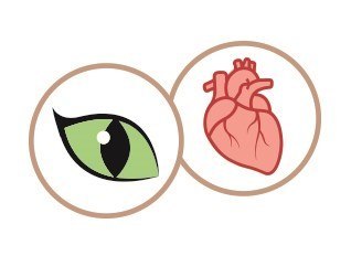 SHELMA saszetka z kurczakiem i pomidorami oraz ziołami 85g