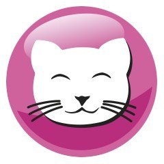 PREVITAL kurczak karma sucha karma kocięta 0,95kg