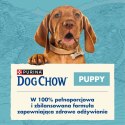 PURINA DOG CHOW Puppy Lamb - sucha karma dla szczeniąt wszystkich ras - 14 kg