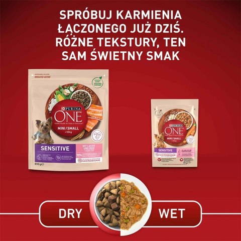 PURINA One Mini/Small Sensitive Łosoś, ryż - sucha karma dla psa - 800 g