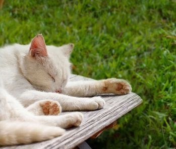 Robot koszący EZVIZ RM600