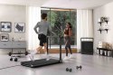 Bieżnia elektryczna Kingsmith Treadmill X23 (WYPRZEDAŻ)