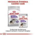 ROYAL CANIN CCN Medium Sterilised Adult - sucha karma dla psa - 12 kg (WYPRZEDAŻ)