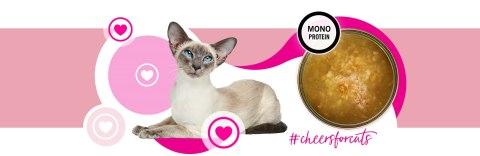 3Coty TURKEY Cheers! Complementary feed cats 160g