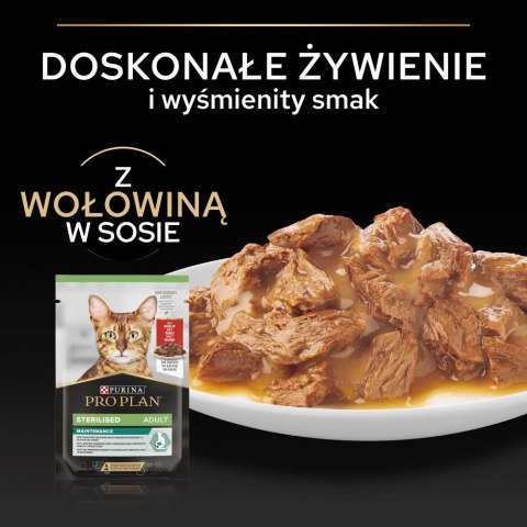 PURINA PRO PLAN STRLS Kot Woł 18+8 saszet. 2,21kg PURINA PRO PLAN STRLS Kot Woł 18+8 saszet. 2,21kg