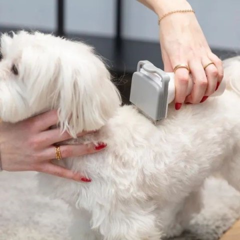 Urządzenie do domowej pielęgnacji psów i kotów MPM MOD-1000