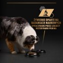 PURINA PRO PLAN ADULT Dog Indyk w galarecie 400gr