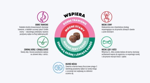 JOHN DOG Good Form Puppy Cielęcina z jagnięciną - sucha karma dla psa - 12 kg