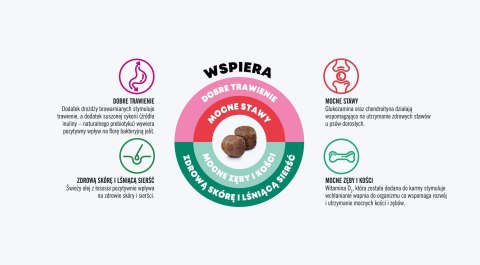 John Dog GOOD Adult kurczak z wołowiną12 kg