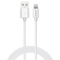 SAVIO KABEL USB-C DO LIGHTNING 2M CL-193