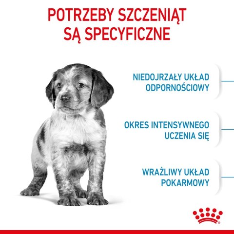 ROYAL CANIN SHN Medium Puppy - sucha karma dla szczeniąt - 15 kg (WYPRZEDAŻ)