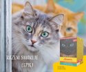JOSERA Multipack - filet z kurczaka, kaczka, łosoś - mokra karma dla kota - 6x70 g