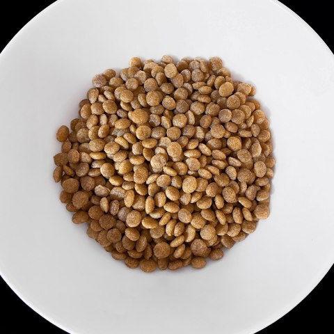 VET RESPONSE HYPPOALERGENIC dla kota 400 g