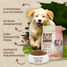 VetExpert Raw Paleo Healthy Grain Salmon&Barley Puppy - Karma sucha dla psów - 10kg (WYPRZEDAŻ)