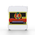 ADVANCED NUTRIENTS CONNOISSUER GROW AB 5L