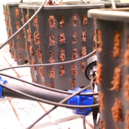 DONICZKA HERCULES KWADRATOWA 9L