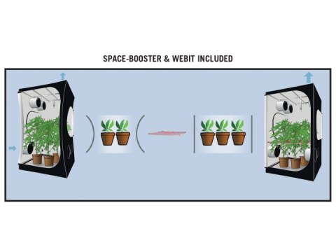 SECRET JARDIN DARK STREET WIDE 120*60*H178