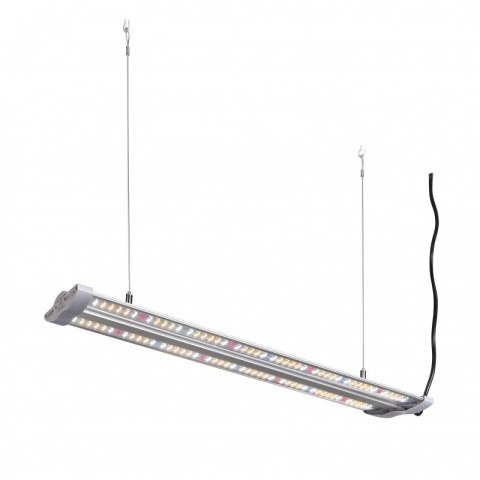 LAMPA HORTIMOL TLED 60W