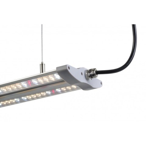 LAMPA HORTIMOL TLED 60W
