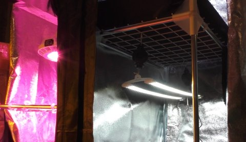 SECRET JARDIN COSMORROW ZASILACZ DO LED 2*20W