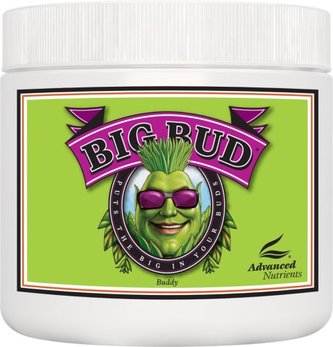 ADVANCED NUTRIENTS BIG BUD PROSZEK 2,5KG