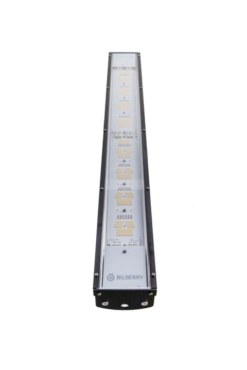 BILBERRY LED 340W