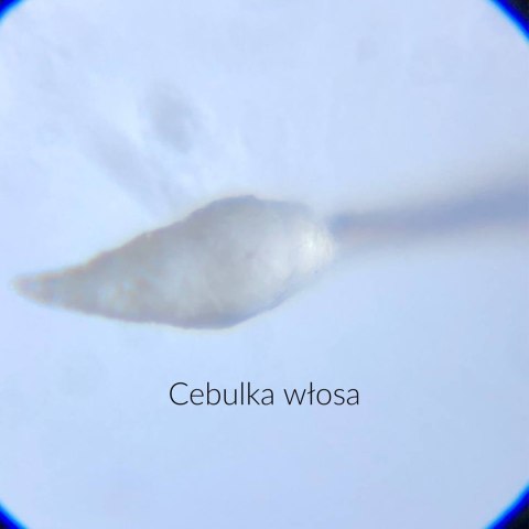 GOOD SCOPE MIKROSKOP