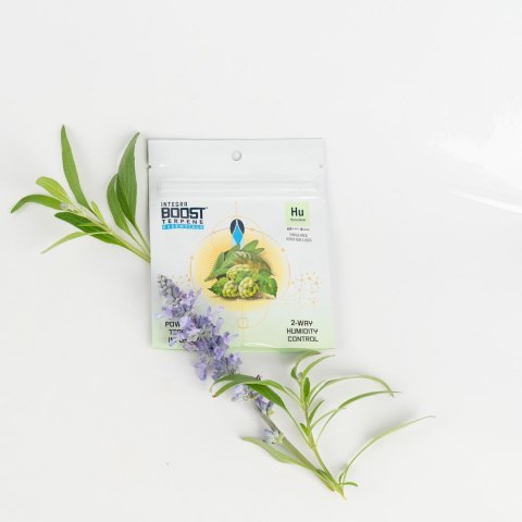 INTEGRA BOOST TERPENY HUMULENE 4G 62%