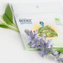 INTEGRA BOOST TERPENY HUMULENE 4G 62%