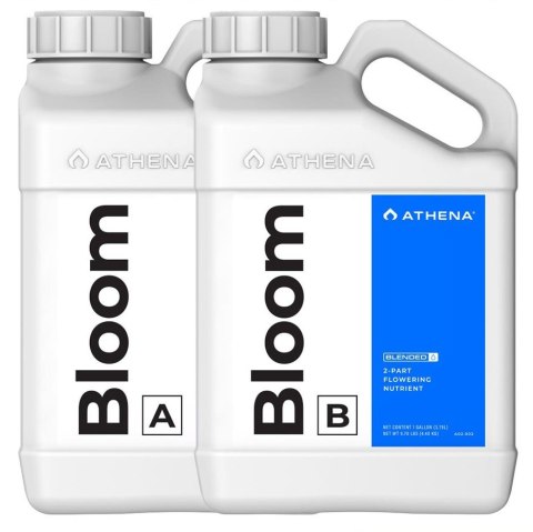ATHENA BLOOM AB PŁYN 946ML