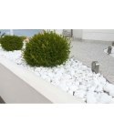BIOVITA GRYS EXTRA WHITE THASSOS 60-100MM 20KG