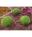 BIOVITA ZRĘBKI POMARAŃCZOWE 50L
