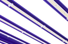 LUMATEK ZEUS 1000W PRO 3.1