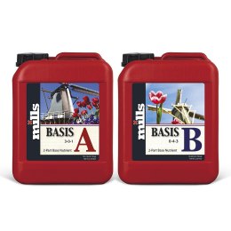 MILLS BASIS AB 5L HIGH CONCENTRATE