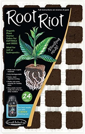 ROOT RIOT 77 TACA