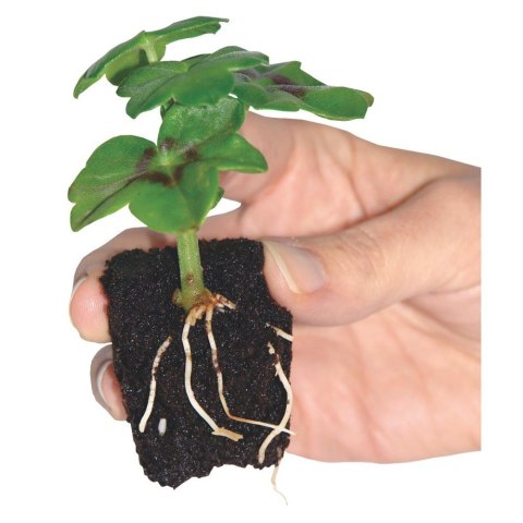 ROOT!T FIRST FEED 250ML
