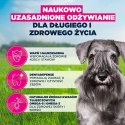 EUKANUBA Mature Small rich in chicken 3kg