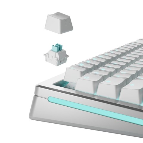 Glorious Gaming GLO-KB-ACC-SWT-LYNX-HE-36 bez kategorii