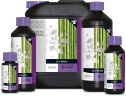 ATAMI SILIC BOOST 100ML