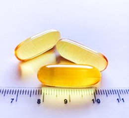 Game Dog OMEGA-3 FORTE Suplement dla psa 120 kapsułek