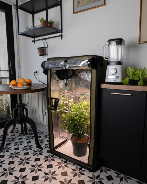 SECRET JARDIN FOR TWENTY 200