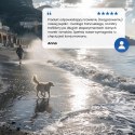 FARMINA N&D Ocean Dog Salmon, Cod&Cantaloupe - sucha karma dla psa - 2,5 kg