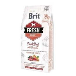 BRIT Fresh Puppy&Junior Large Growth&Joints Wołowina z dynią - sucha karma dla psa - 12 kg