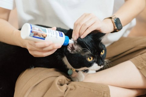 VIRBAC EPI-OTIC S-I-S dla psa i kota 60ml